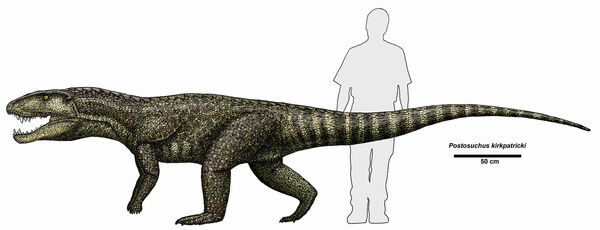 An artists reconstruction of Postosuchus kirkpatricki compared to a human.  Image credit Dr. Jeff Martz (NPS)